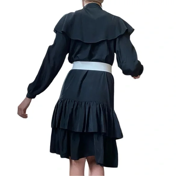 Vintage Sue Wong Ruffle Dress - Picture 10 of 15